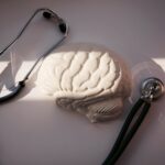 An anatomical brain model sitting next to a red warning sign on a gray background.